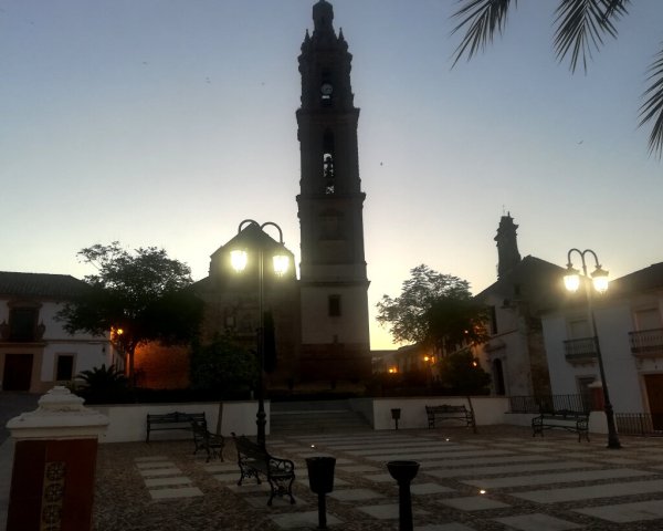 Paseo Viejo y Torre (5)
